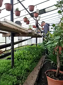 Frosting1957 online show from April 12, 7:33 am