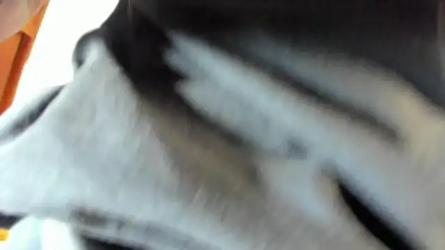 pipe monstercock online show from May 21, 8:17 pm