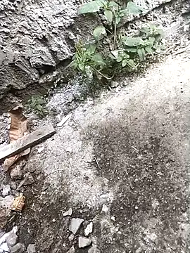 Rocky pune online show from April 16, 3:40 am