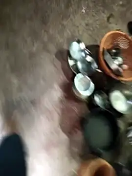 Rocky pune online show from April 8, 1:29 am