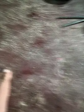 Rocky pune online show from April 9, 2:02 am