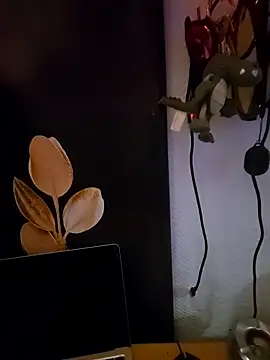 Kwiatywmroku online show from April 9, 3:19 am