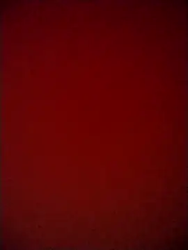 Shaniya03 online show from May 6, 3:16 pm
