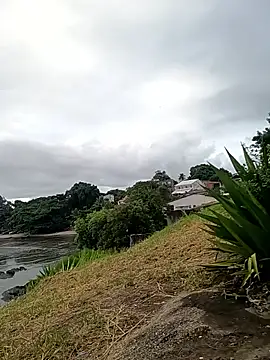 rogeriobastospqdt online show from April 9, 7:42 pm