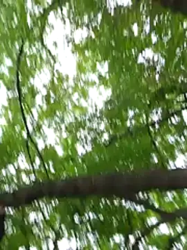 keyott online show from May 17, 3:56 pm