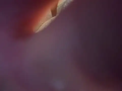 youngwildfreee online show from April 23, 7:15 pm