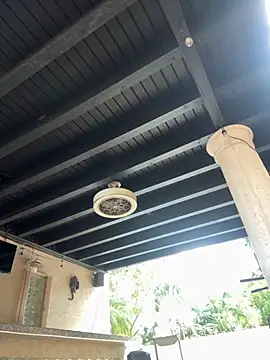 youngwildfreee online show from April 9, 8:26 pm