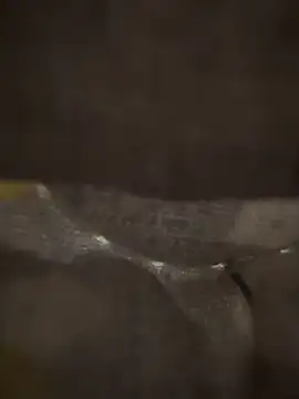 xezie online show from April 10, 10:00 am