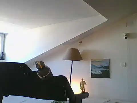 AmeliFoxi online show from April 18, 9:00 am