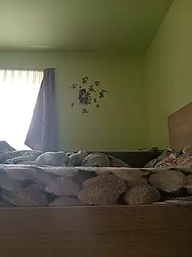 Mariofls online show from June 1, 1:44 pm