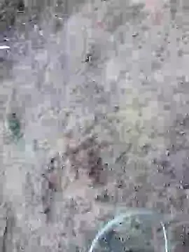 rocky play boy  online show from May 25, 11:53 am