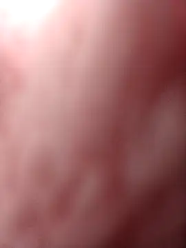 Flora Ambeers online show from April 15, 6:52 am