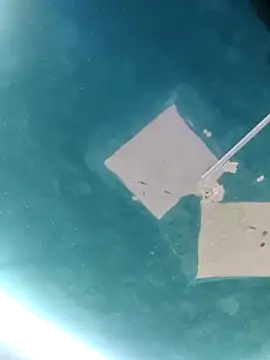 maicol6699 online show from April 18, 5:10 am