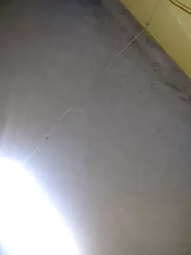 maicol6699 online show from April 15, 11:38 am