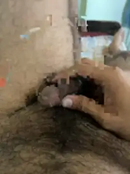 warm milk69 online show from April 19, 4:02 am