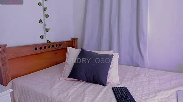 ANDRY OSORIO online show from April 19, 12:50 pm