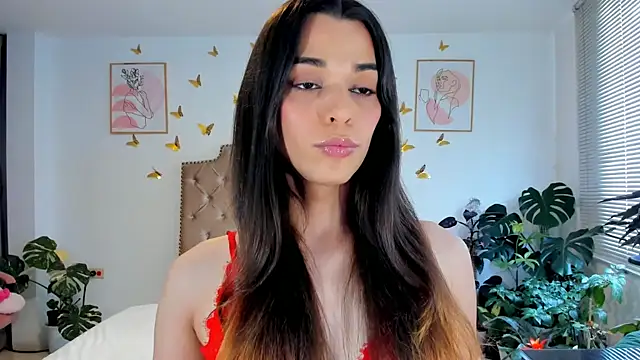 Snapshot of bella_grego chatting on June 21, 5:41 pm bella grego online show from June 21, 5:41 pm