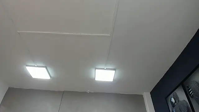 Charlie   Musk online show from June 19, 11:27 am