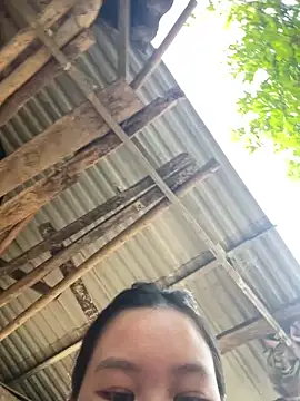 Swan 69 online show from April 21, 10:00 am