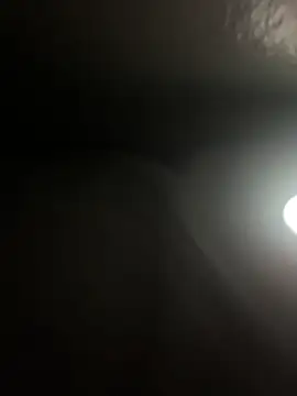 DICK5016 online show from April 21, 1:50 pm