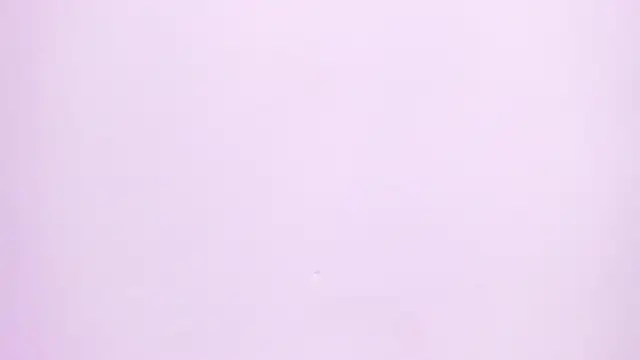 Natasha028  online show from June 2, 11:32 am
