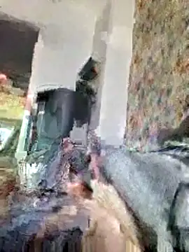 bellequeue147 online show from April 21, 10:55 am