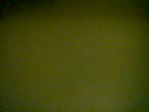 Snapshot of LunjeSA chatting on June 4, 8:41 am LunjeSA online show from June 4, 8:41 am