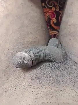 desibullboybd online show from May 21, 1:41 pm