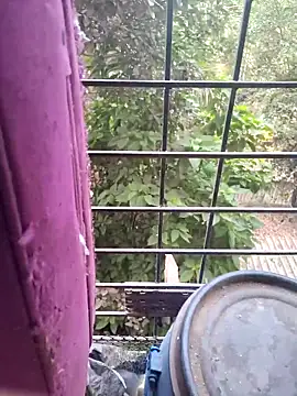 alviyaaa online show from April 26, 12:46 pm