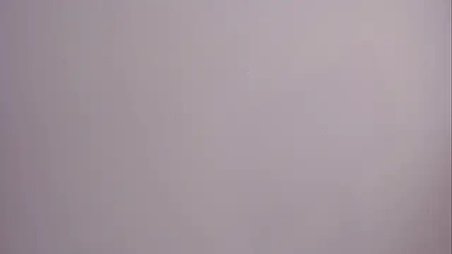 nia lovy online show from June 23, 4:27 pm