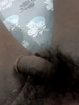 Peterhadly online show from April 26, 10:12 am