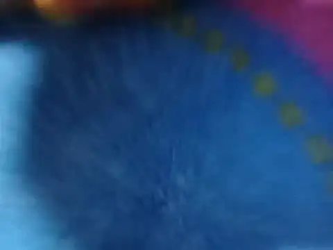 adriyelkins6912 online show from July 26, 2:29 am