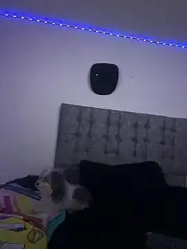 Caro redd online show from June 1, 12:38 pm