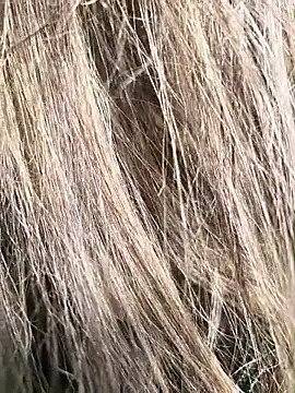 erikthor online show from June 26, 8:14 pm