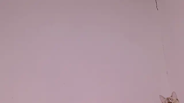MayGibsson online show from August 8, 12:23 pm