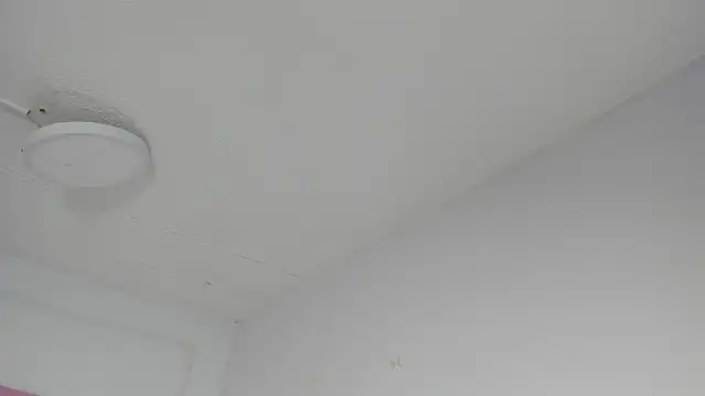 Sharon Adamss online show from July 9, 7:24 pm
