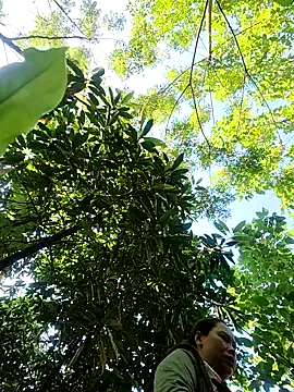 Banana-zz online show from May 25, 11:36 pm