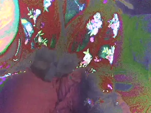 Rugare online show from May 4, 10:34 pm