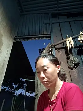 Snapshot of Jinli_01 chatting on May 20, 12:13 pm Jinli 01 online show from May 20, 12:13 pm