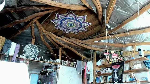 Snapshot of wildforestmuse_ chatting on July 26, 6:31 am wildforestmuse online show from July 26, 6:31 am
