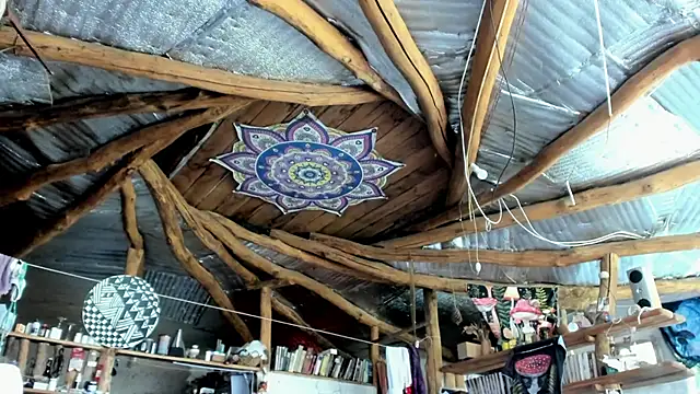 Snapshot of wildforestmuse_ chatting on July 8, 6:14 am wildforestmuse online show from July 8, 6:14 am