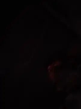HottPussy069 online show from May 14, 1:02 am