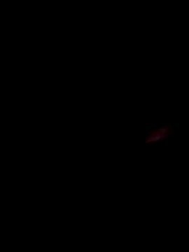 bisexual yh online show from May 8, 2:48 am