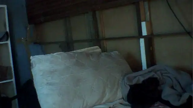 Snapshot of Camodick chatting on December 2, 8:49 am Camodick online show from December 2, 8:49 am