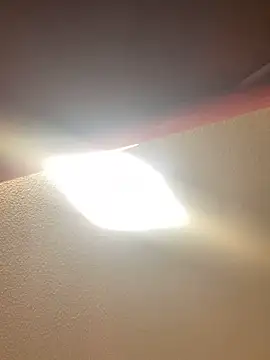 allyroseeee online show from May 14, 5:37 am