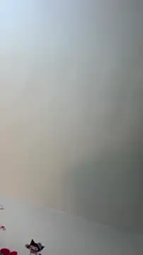 Snapshot of Eilicarver chatting on July 4, 12:43 pm Eilicarver online show from July 4, 12:43 pm