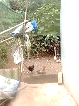 Snapshot of Mirra-a chatting on June 11, 5:48 am Mirra-a online show from June 11, 5:48 am