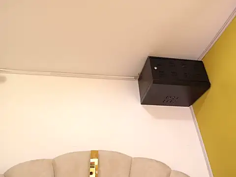 Gingerblis online show from June 11, 9:56 pm