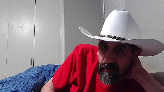 Snapshot of old_Domino chatting on June 20, 8:41 am old Domino online show from June 20, 8:41 am