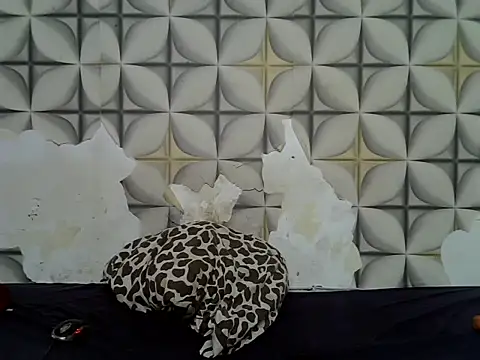 fine grap online show from June 23, 5:05 am